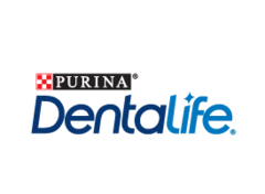 10 dentalife_0